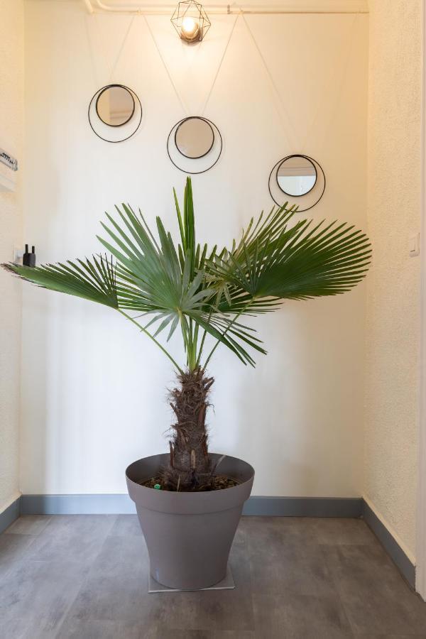 L'Appartement A Cardaillac Rodez Ngoại thất bức ảnh